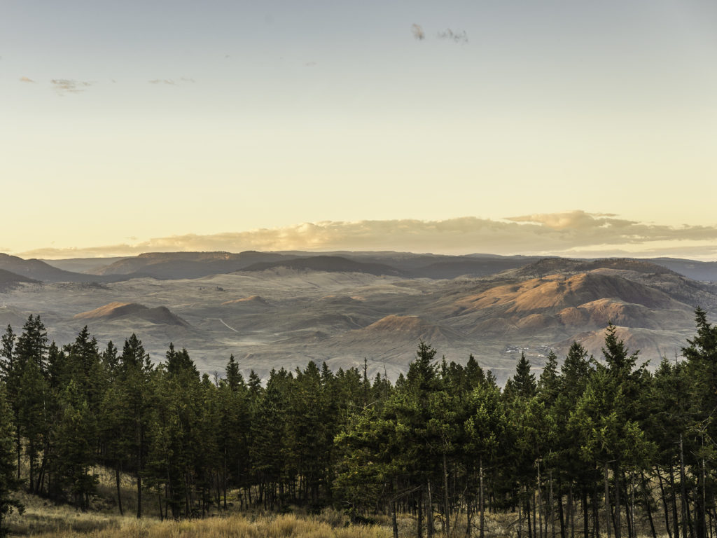 Kamloops Landscape