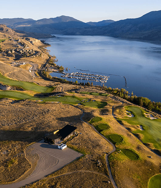 tobiano-img-1